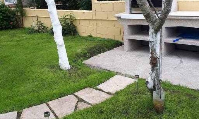Larino Apartamento | Apartamento con patio al lado de la iglesia (IgB)