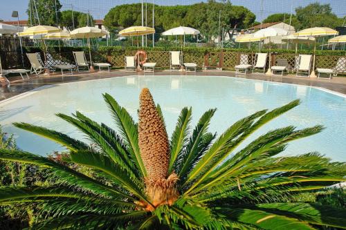 Vada Apartamento | Apartment in Vada near restaurants