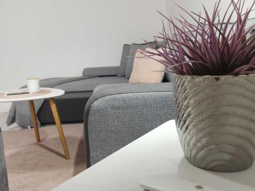 Mukinje Apartamento | Apartment Iskra - One bedroom apartment