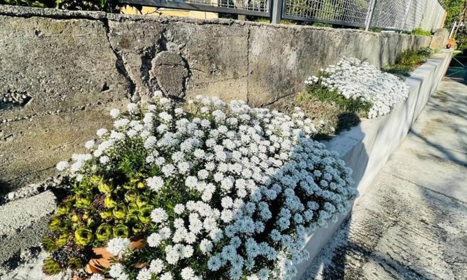 Rijeka Apartamento | Apartment Iva