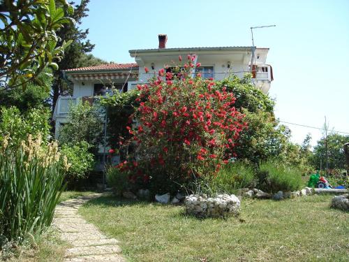 Suha Punta Apartamento | Apartment Kampor 5014b