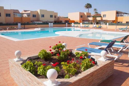 Corralejo Apartamento | Apartment los delfines Corralejo