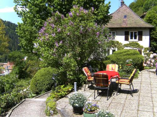 Triberg im Schwarzwald Apartamento | Apartment Maier-1 by Interhome
