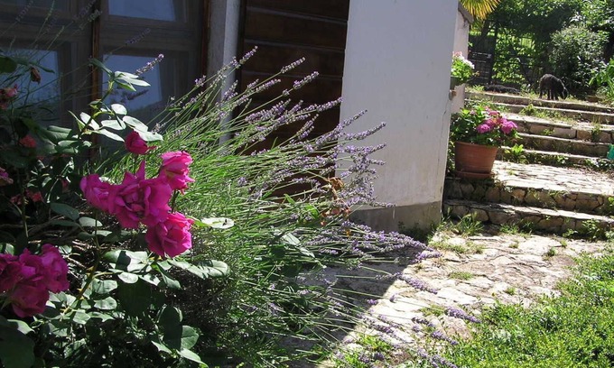 Motovun Apartamento | Apartamento Motovun 1 cómodo, espacioso, jardín, terraza. vista, estacionamiento