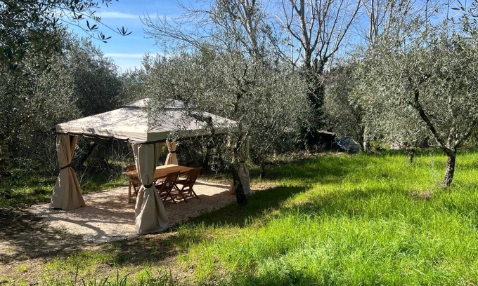 Settignano Apartamento | Apartamento "Olive Garden Loft - Settignano" con jardín compartido y Wi-Fi