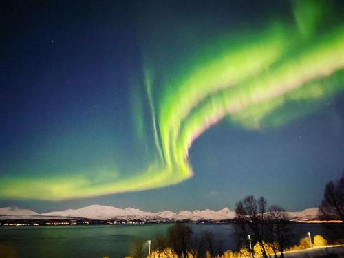 Tromso Apartamento | Apartment on Whaleisland