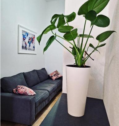 Veruda Apartamento | Apartment ORY 2 between the beach and city center