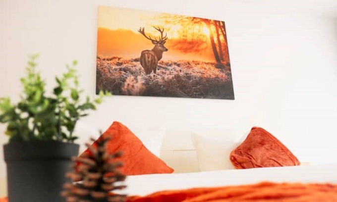 Schluchsee Apartamento | Apartment Peter - Family vacation with indoor pool