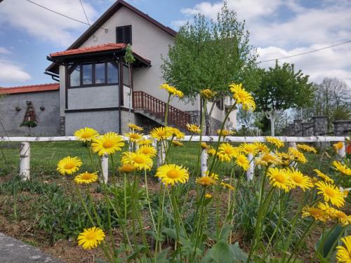 Ogulin Apartamento | Apartment Rašće
