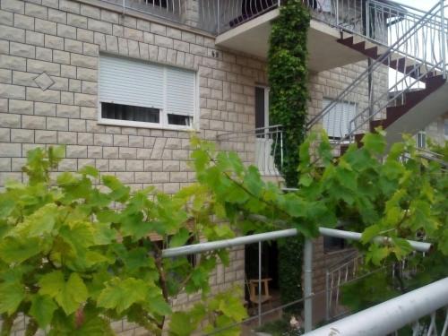 Solin Apartamento | Apartment Rose