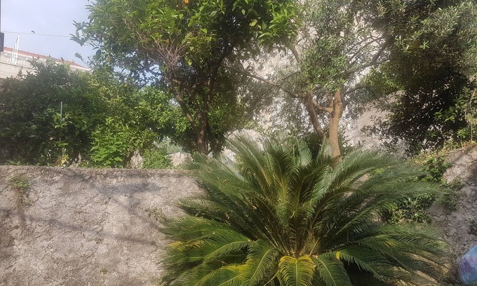 Cavtat Old Town Apartamento | Apartment Saul