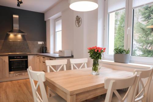Jachymov Apartamento | Apartment Schober - Rezidence K Lanovce