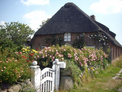 Emmelsbuell-Horsbuell Apartamento | Apartment Seestern