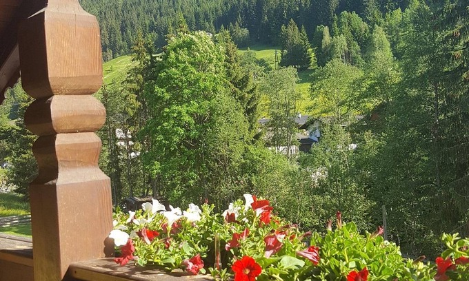 Inneralpbach Apartamento | Apartment Stephanie - Andrea's Apartments - Landhaus Moser