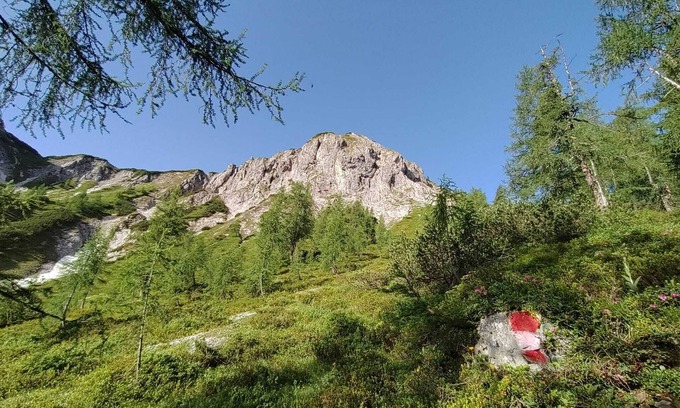 Zauchensee Apartamento | Apartment suite 2-6 people