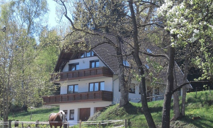 Sankt Georgen im Schwarzwald Apartamento | Apartamento 'Ursprung' con balcón y Wi-Fi