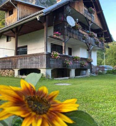 Studor Apartamento | Apartment V&N, LAKE BOHINJ
