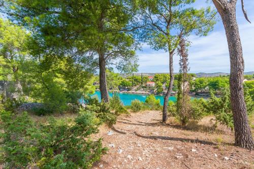 Cove Makarac (Milna) Apartamento | Apartment Vesna