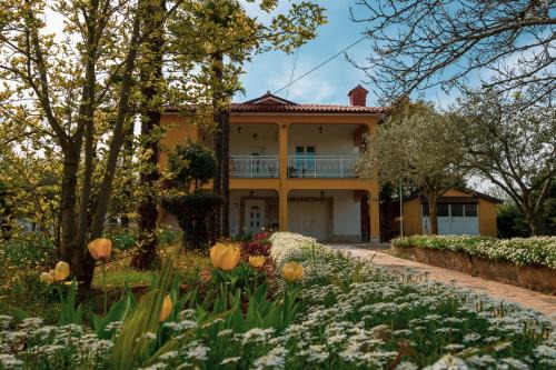Zbandaj Apartamento | Apartment Villa Olga