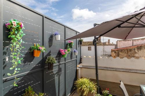 Torrequemada Casa | Apartments BICO DE RODAS a Rural Luxury