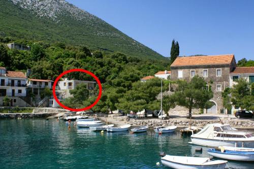 Crkvice Apartamento | Apartments by the sea Cove Crkvice, Peljesac - 17667
