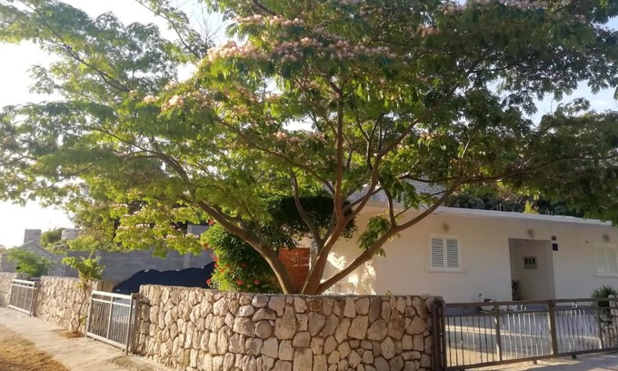 Kobas Apartamento | Apartments by the sea Cove Saplunara, Mljet - 4896