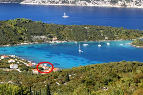 Kneza Apartamento | Apartments by the sea Kneza, Korcula - 9168