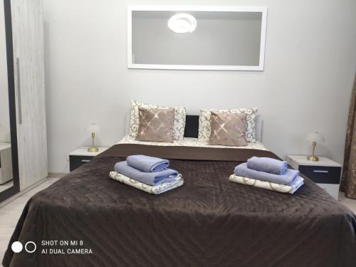 Mukachevo Apartamento | Apartments Domovik Bertalona Luxury comfort