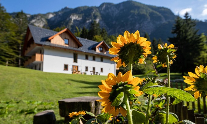 Studor Apartamento | Apartments Goldhorn Kingdom