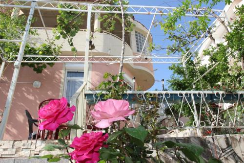 Susanj Apartamento | Apartments Green Belt
