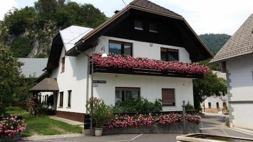Bohinjska Bela Apartamento | Apartments Gregorc