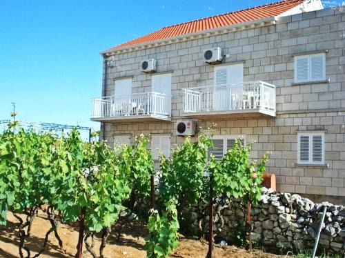 Vela Glavica Apartamento | Apartments Krila
