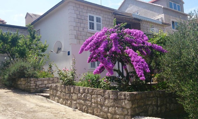 Medvinjak Apartamento | Apartments Laura