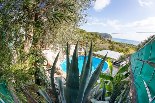 Kaluđerac Apartamento | Apartments Mirian