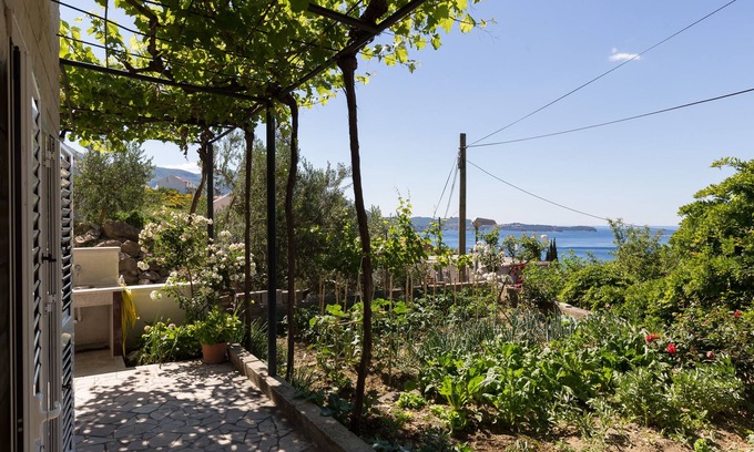 Mlini Apartamento | Apartments Olive