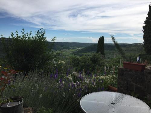 Padna Apartamento | Apartments Padna Goja