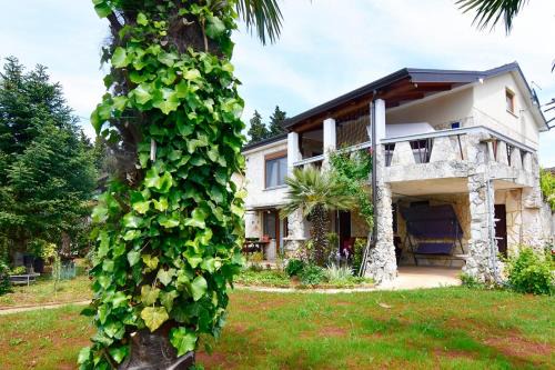 Savudrija Apartamento | Apartments with parking space Savudrija, Umag - 13589