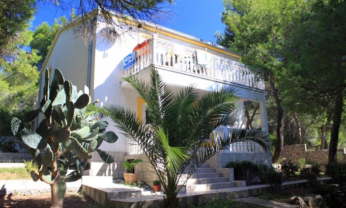 Rukavac Apartamento | Apartments with parking space Rukavac, Vis - 2407