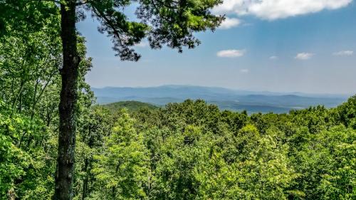 Big Canoe Casa | Appalachian Sky - Scenic Mountain View Cabin in Big Canoe