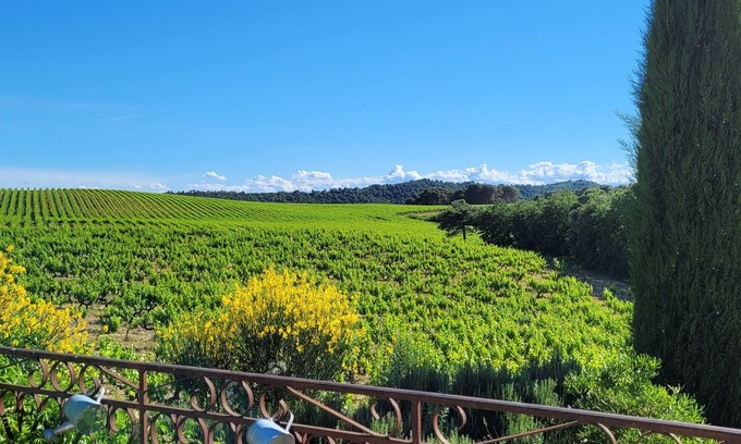 Mondragon Apartamento | Apparently T2 in house in the middle of the vineyards