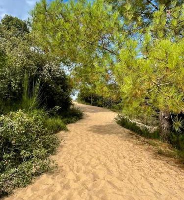 Le Chateau-d'Oleron Apartamento | Appart' Islande
