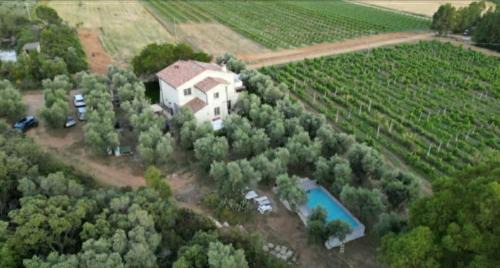 Pian di Rocca Apartamento | Appartamenti in Villa