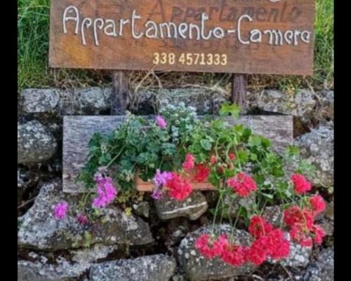 Castiglione di Garfagnana Apartamento | Appartamento DANIELA