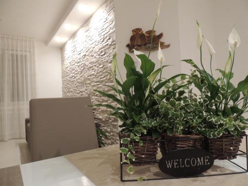 Levico Terme Apartamento | Appartamenti Casa Prandel