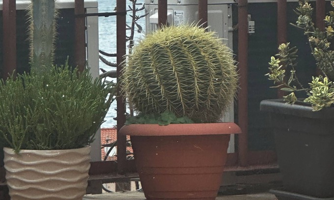 Scilla Apartamento | Appartamenti Scilla paese albergo