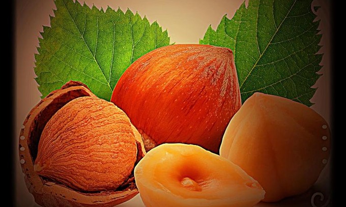 Prati Apartamento | Appartamento arredato uso turistico "La Nocciola"