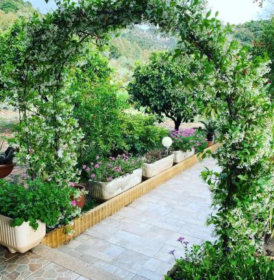 Domus de Maria Casa | Appartamento in Villa Gelsomino