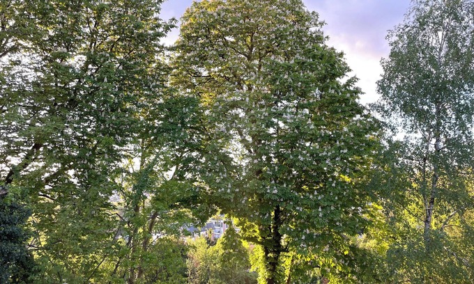 Chennevieres-sur-Marne Apartamento | Appartement en Duplex Chaleureux et Confortable Comprenant Deux Pièces