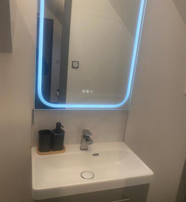 La Chapelle-Saint-Mesmin Apartamento | Appartement climatisé avec jaccuzi