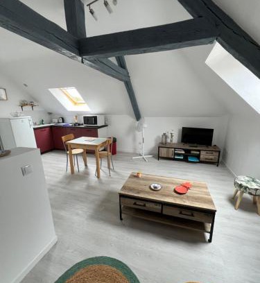 Saint-Brisson-sur-Loire Apartamento | Appartement avec cours